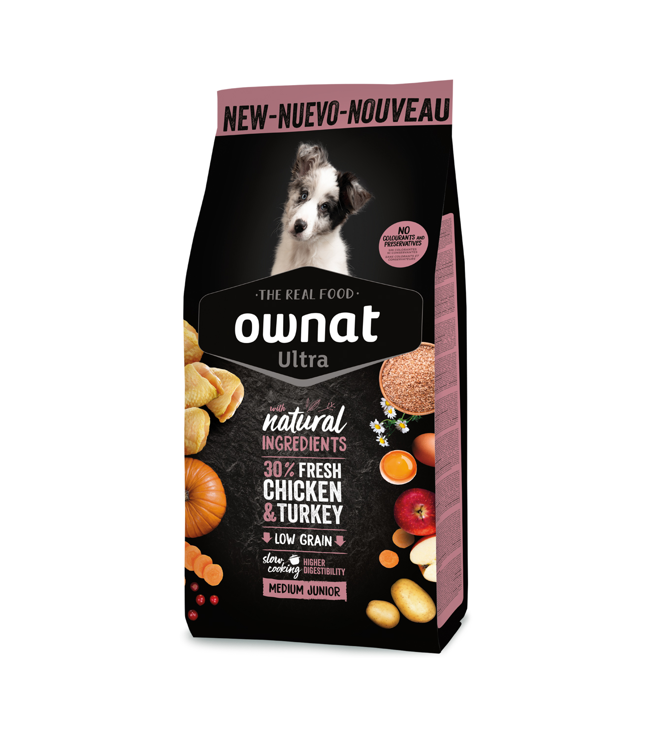 OWNAT GF JUST JUNIOR (DOG) - Imagen 6